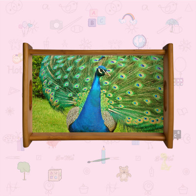 Wooden Tray - 16.5" * 11.5"